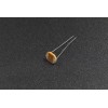 Light Dependence Resistor (10mm)